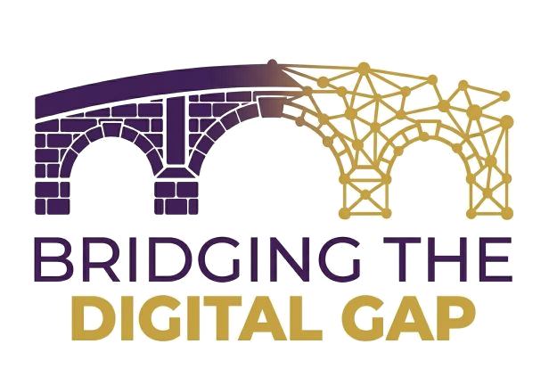 Mind the Digital Gap